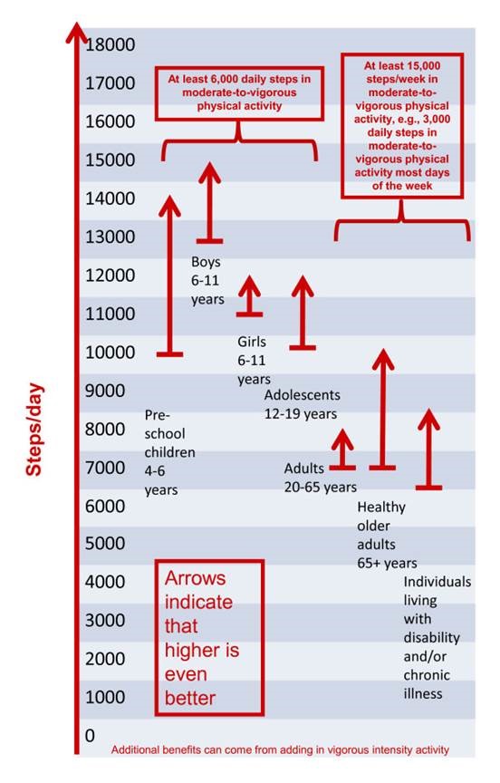 Average Steps Per Day: How Many Miles Most People Walk